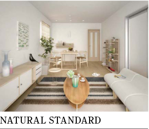 NATURAL STANDARD