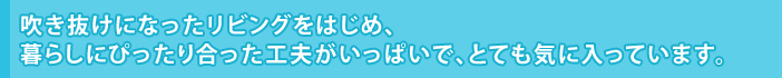 吹き抜けになったリビングをはじめ、暮らしにぴったり合った工夫がいっぱいで、とても気に入っています。