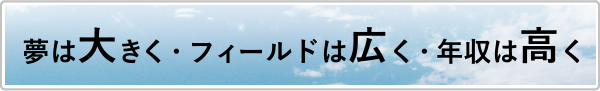 夢は大きく・フィールドは広く・年収は高く