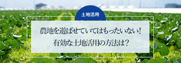 農地を遊ばせていてはもったいない!有効な土地活用の方法は?