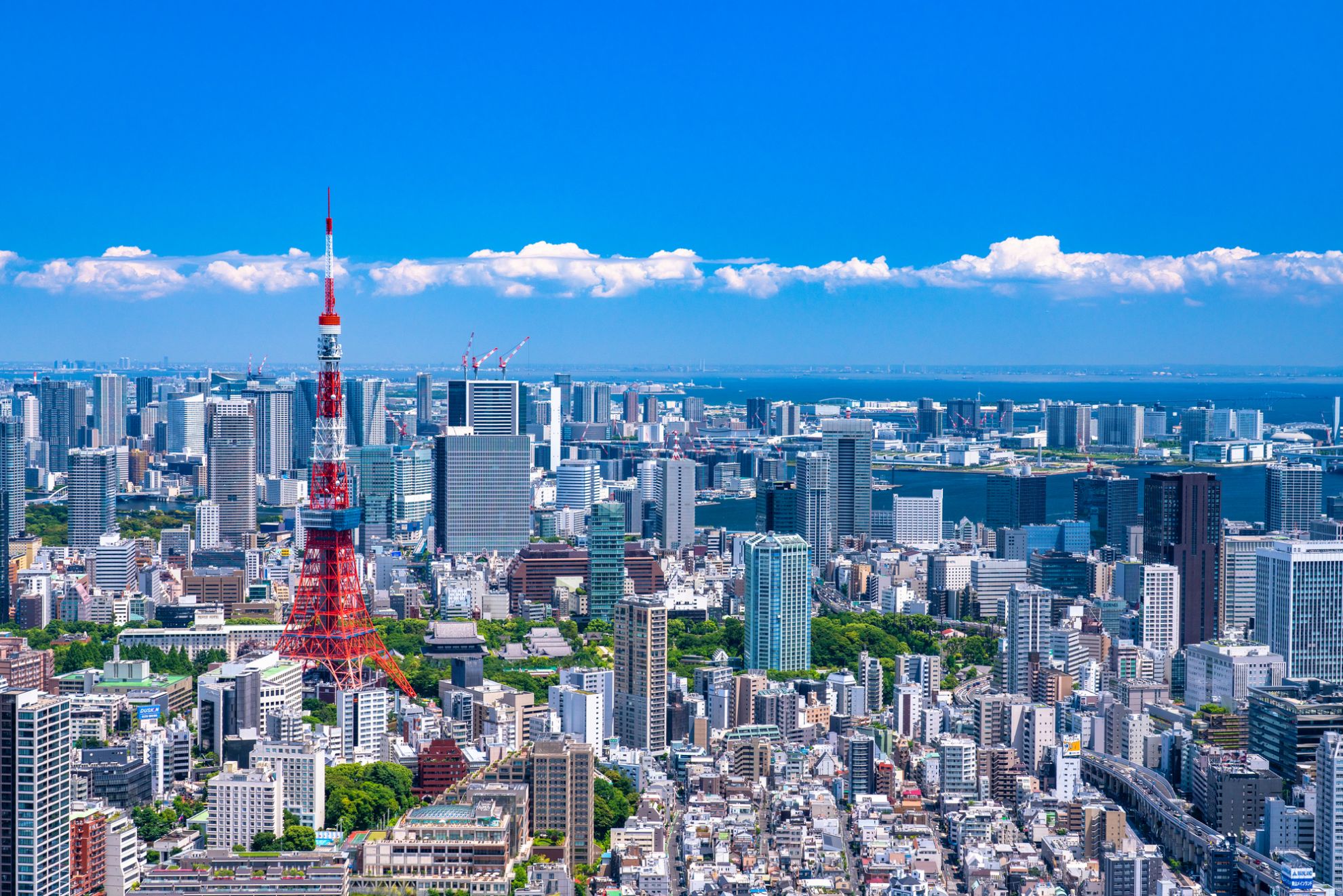 東京都がマンション・アパート経営におすすめな理由|エリア・路線と経営成功のポイント