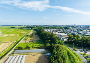 【儲かる】面白い土地活用アイデア!失敗しないポイントを解説